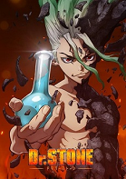 Dr. Stone